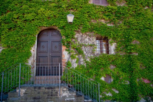 Castiglione della Pescaia